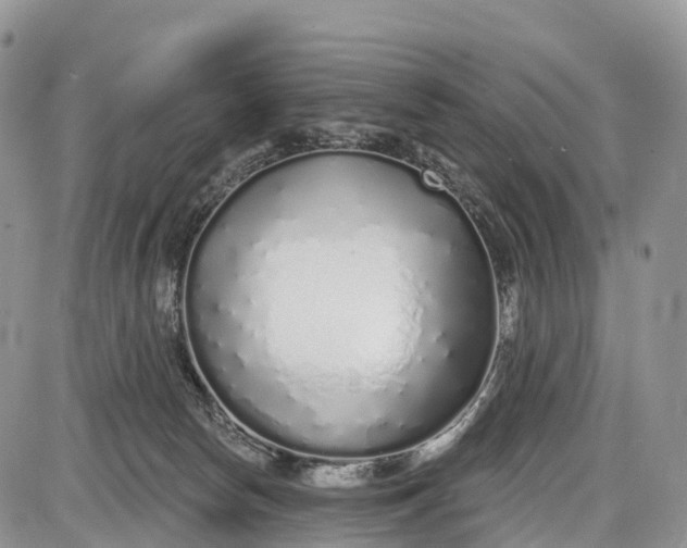 X0000085000178200703191059