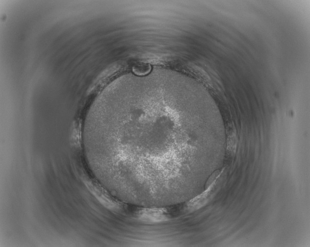 X0000085000179200703191059