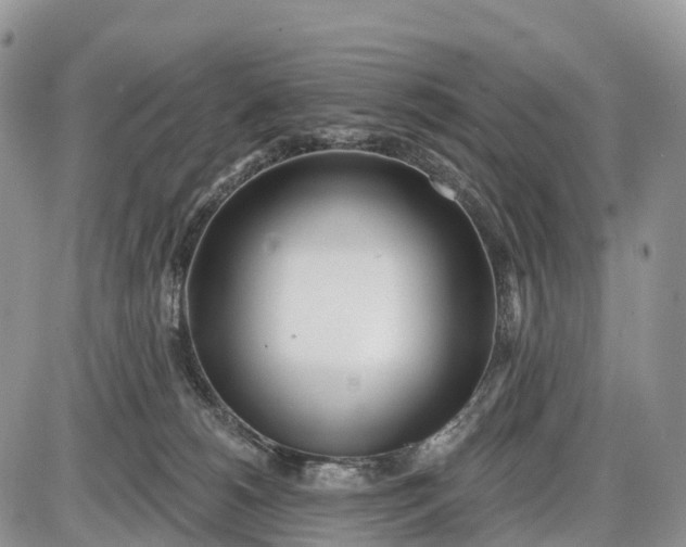 X0000085000180200703191059