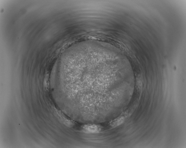 X0000085000181200703191059