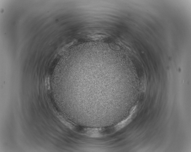 X0000085000182200703191059