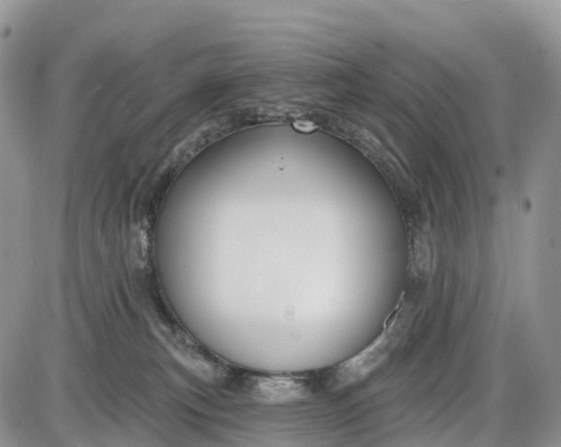 X0000085000183200703191059