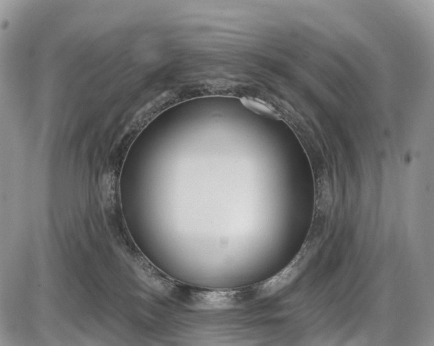 X0000085000184200703191059