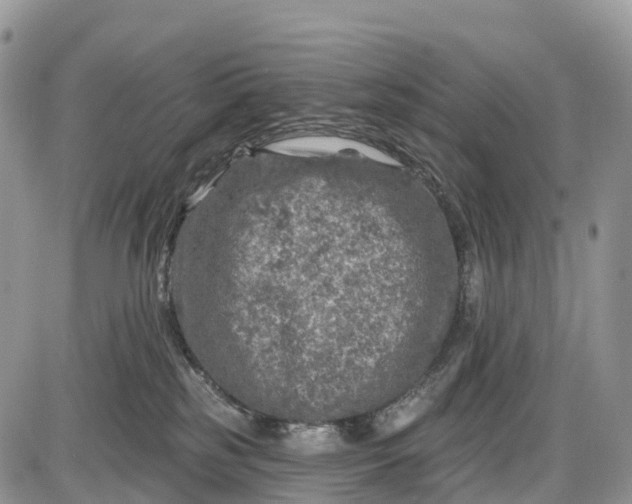 X0000085000185200703191059