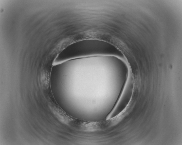 X0000085000186200703191059