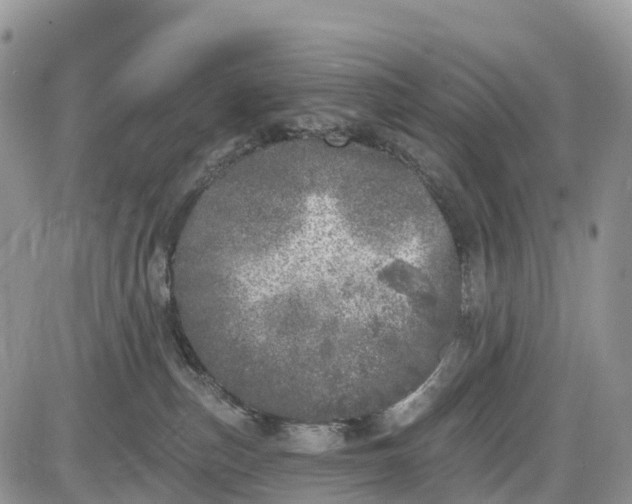 X0000085000187200703191059