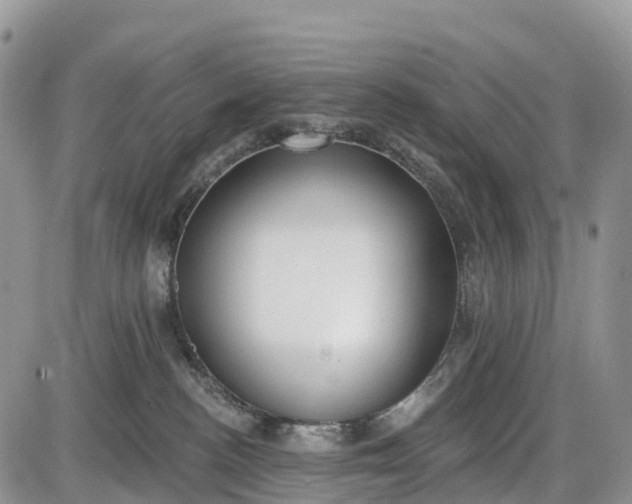 X0000085000188200703191059