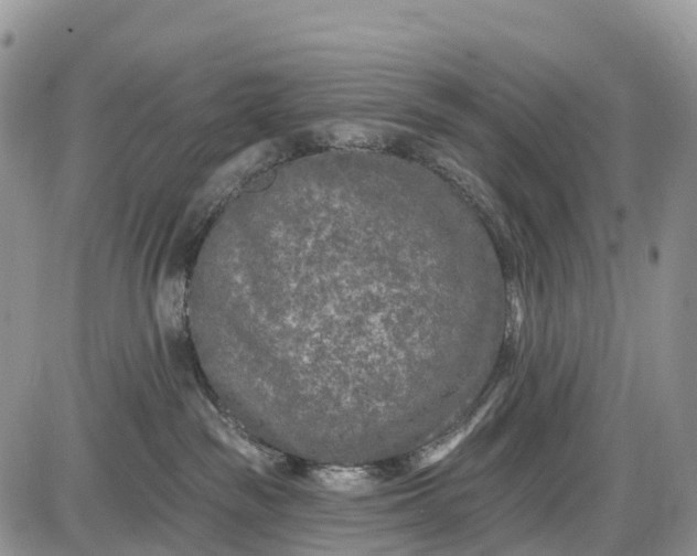 X0000085000189200703191059