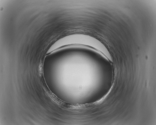 X0000085000190200703191059