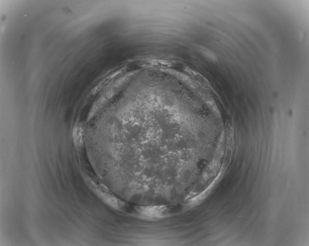 X0000085000191200703191059