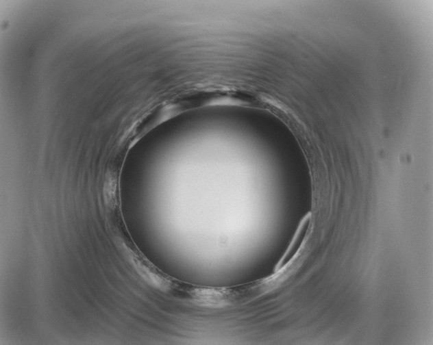 X0000085000192200703191059