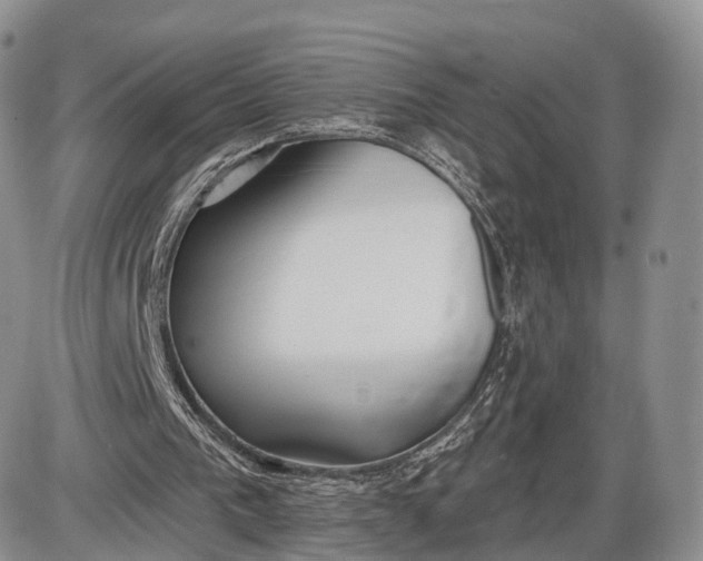 X0000085000193200703191058