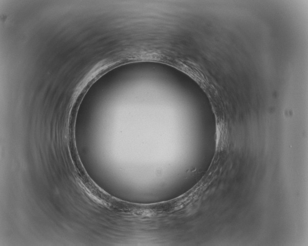 X0000085000195200703191058