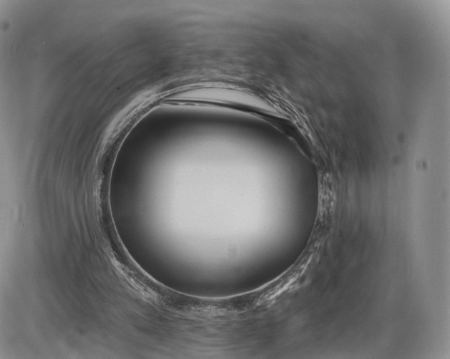 X0000085000197200703191058