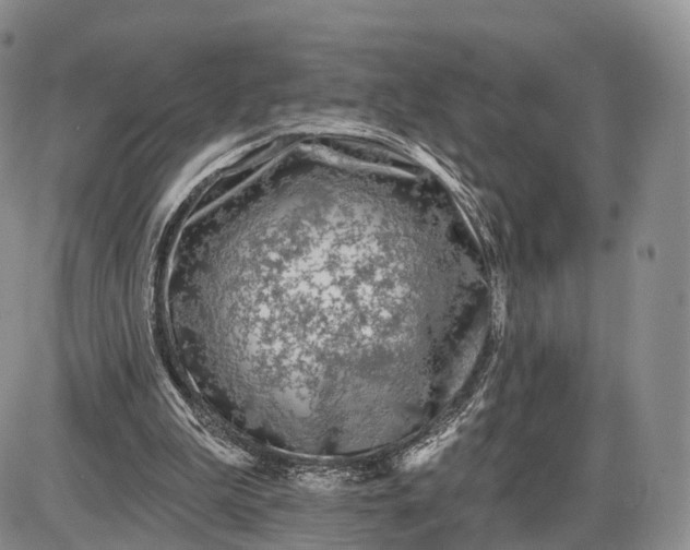 X0000085000199200703191058