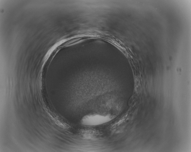 X0000085000200200703191058