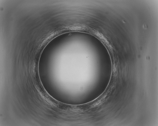 X0000085000201200703191058