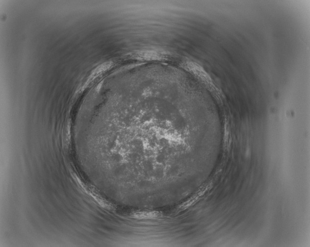 X0000085000202200703191058