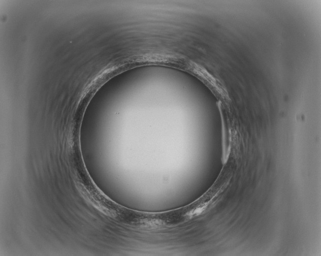 X0000085000203200703191058