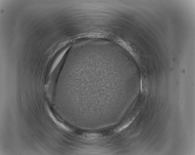 X0000085000205200703191058