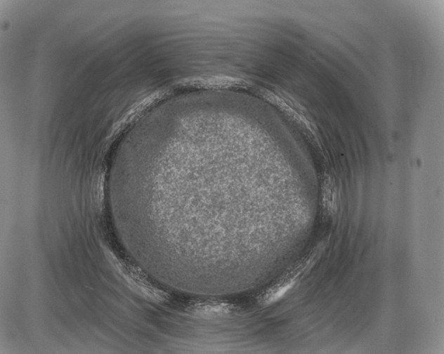 X0000085000206200703191058