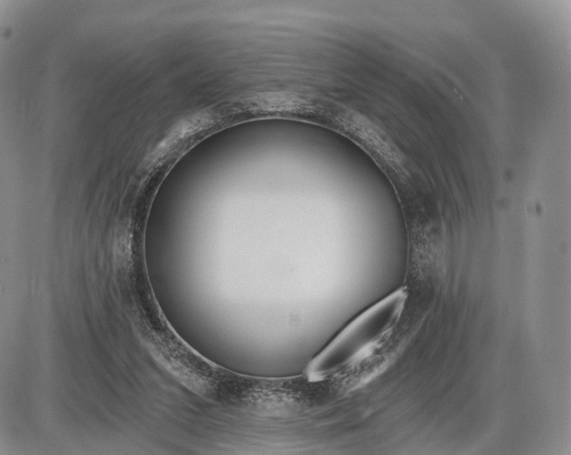 X0000085000207200703191058