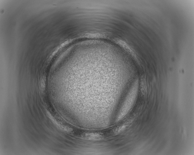 X0000085000208200703191058