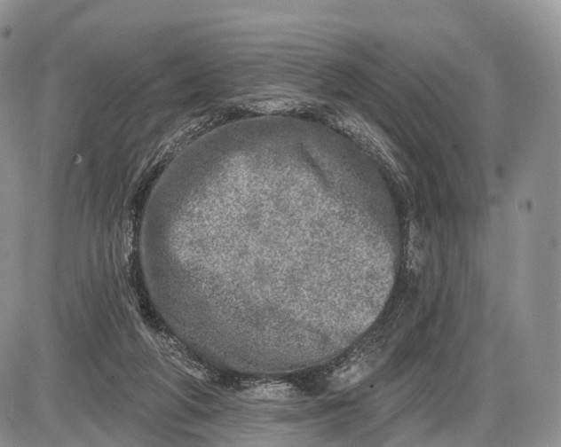 X0000085000210200703191058