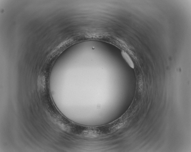 X0000085000211200703191058