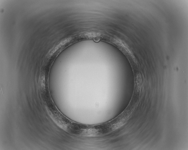 X0000085000212200703191058