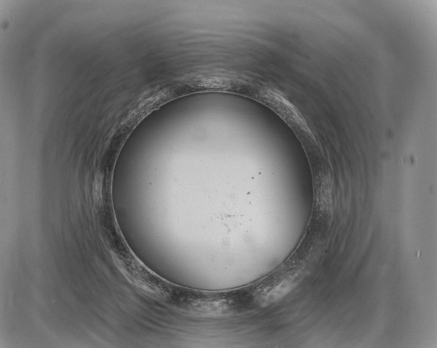 X0000085000213200703191058