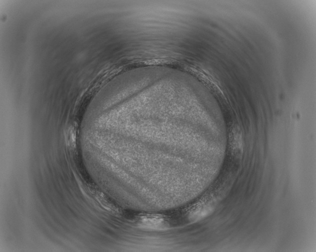 X0000085000214200703191058