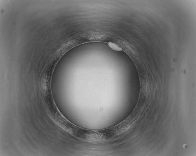 X0000085000215200703191058