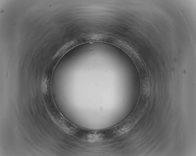 X0000085000216200703191058