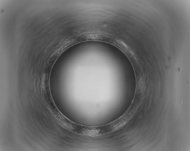 X0000085000217200703191058