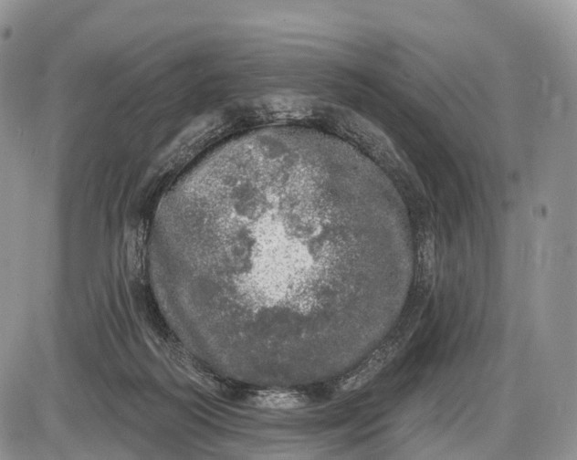 X0000085000218200703191058