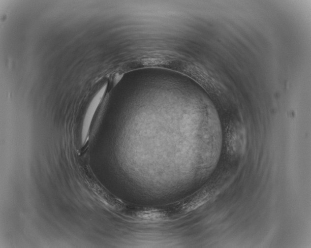 X0000085000219200703191058