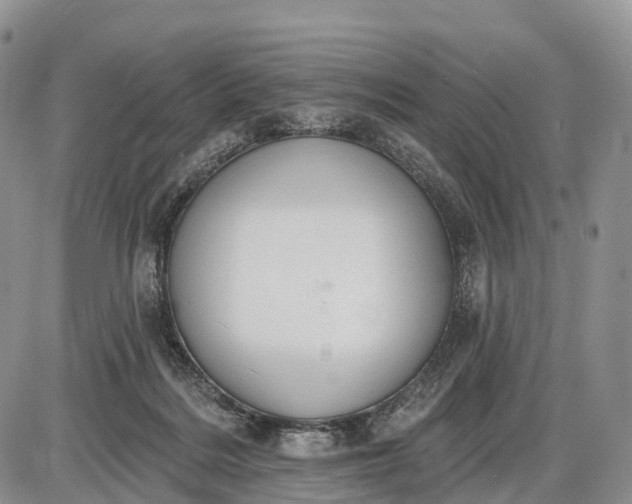 X0000085000220200703191058