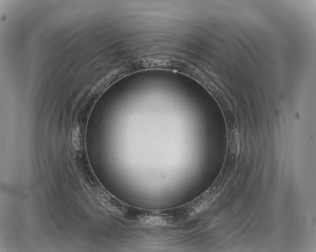 X0000085000224200703191058