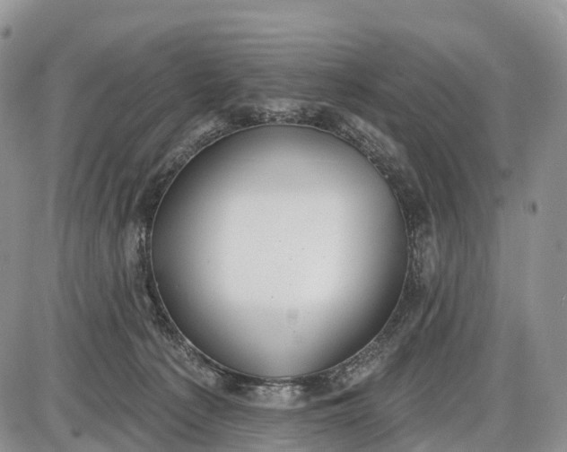 X0000085000225200703191058