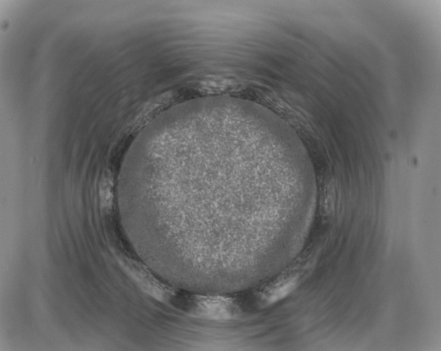 X0000085000226200703191058