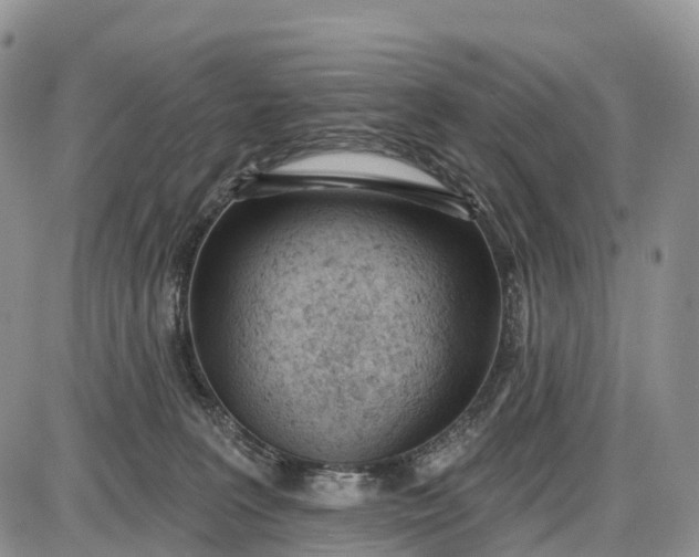 X0000085000227200703191058