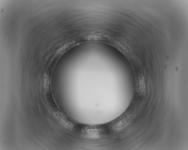 X0000085000228200703191058