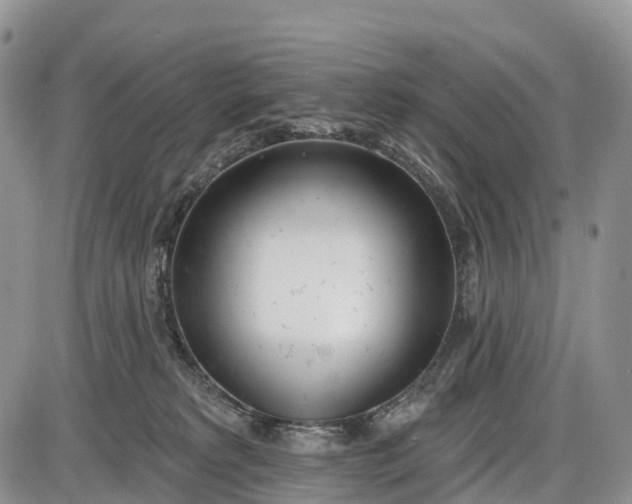 X0000085000229200703191058