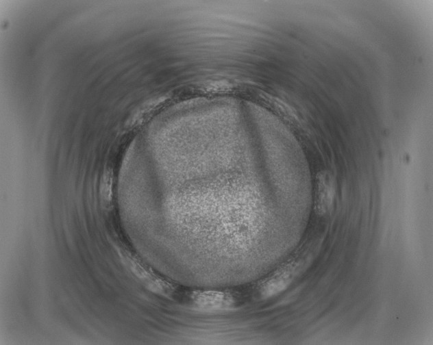 X0000085000230200703191058