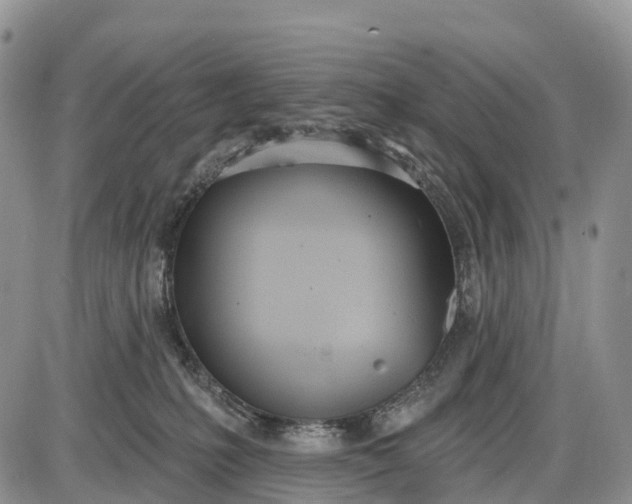 X0000085000231200703191058