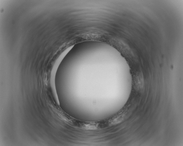 X0000085000232200703191058