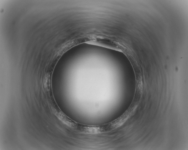 X0000085000233200703191058