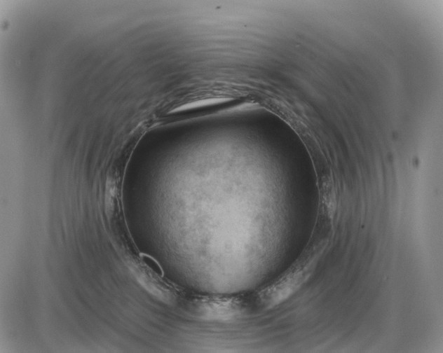 X0000085000235200703191058