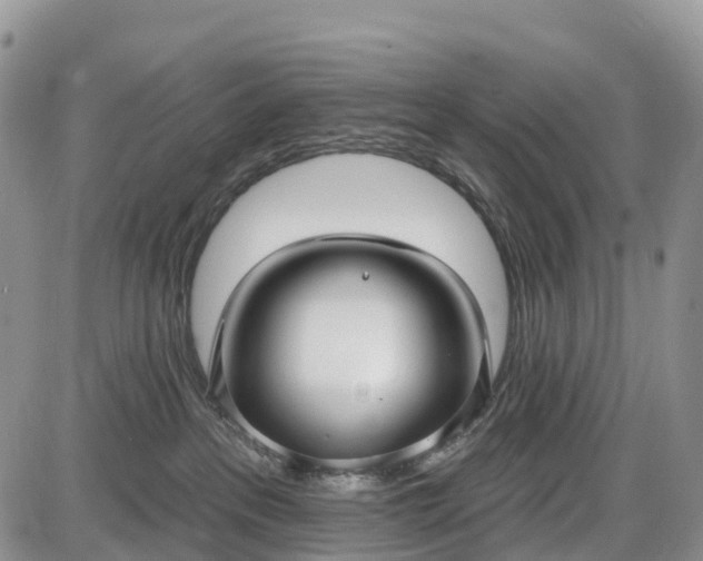 X0000085000237200703191058